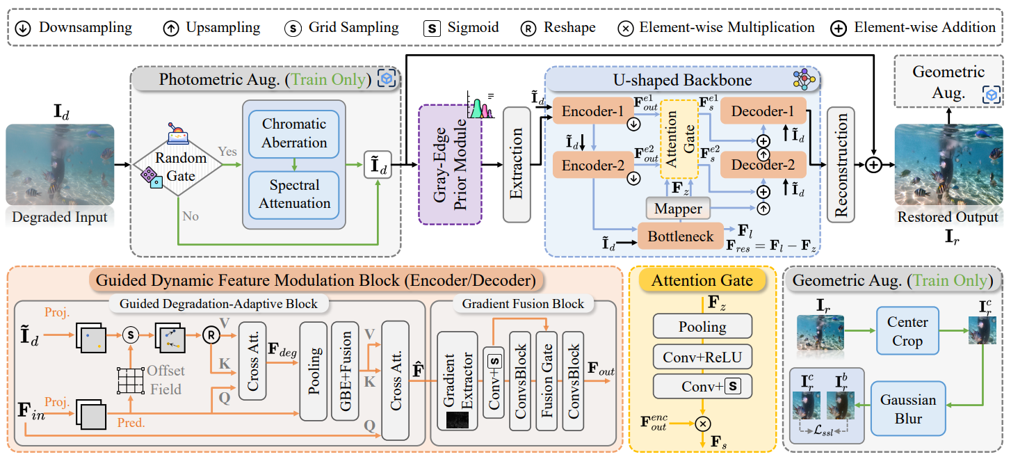 Degradation-Guided Underwater Image Restoration with Task-Oriented Latent Control